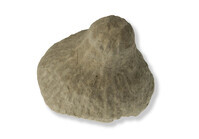 F 03239
<br/>
<br/>
<em></em>